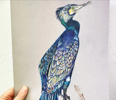 Collette Howie - 'Cormorant'