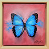 Charmaine Boyle - 'Wings Like Time'