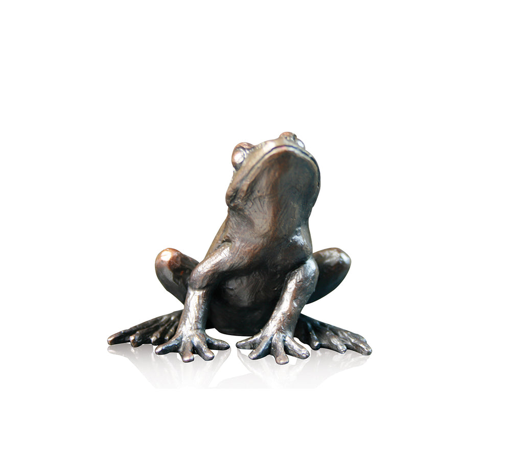 Bronze -Frog Alert (918)