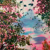 Christine Glasgow - 'Above Me'