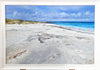 Allison Young - 'June Day, Caolas, Tiree'