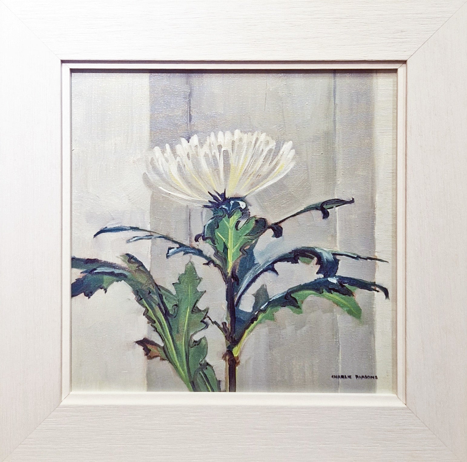 Charlie Parsons - Chrysanthemum