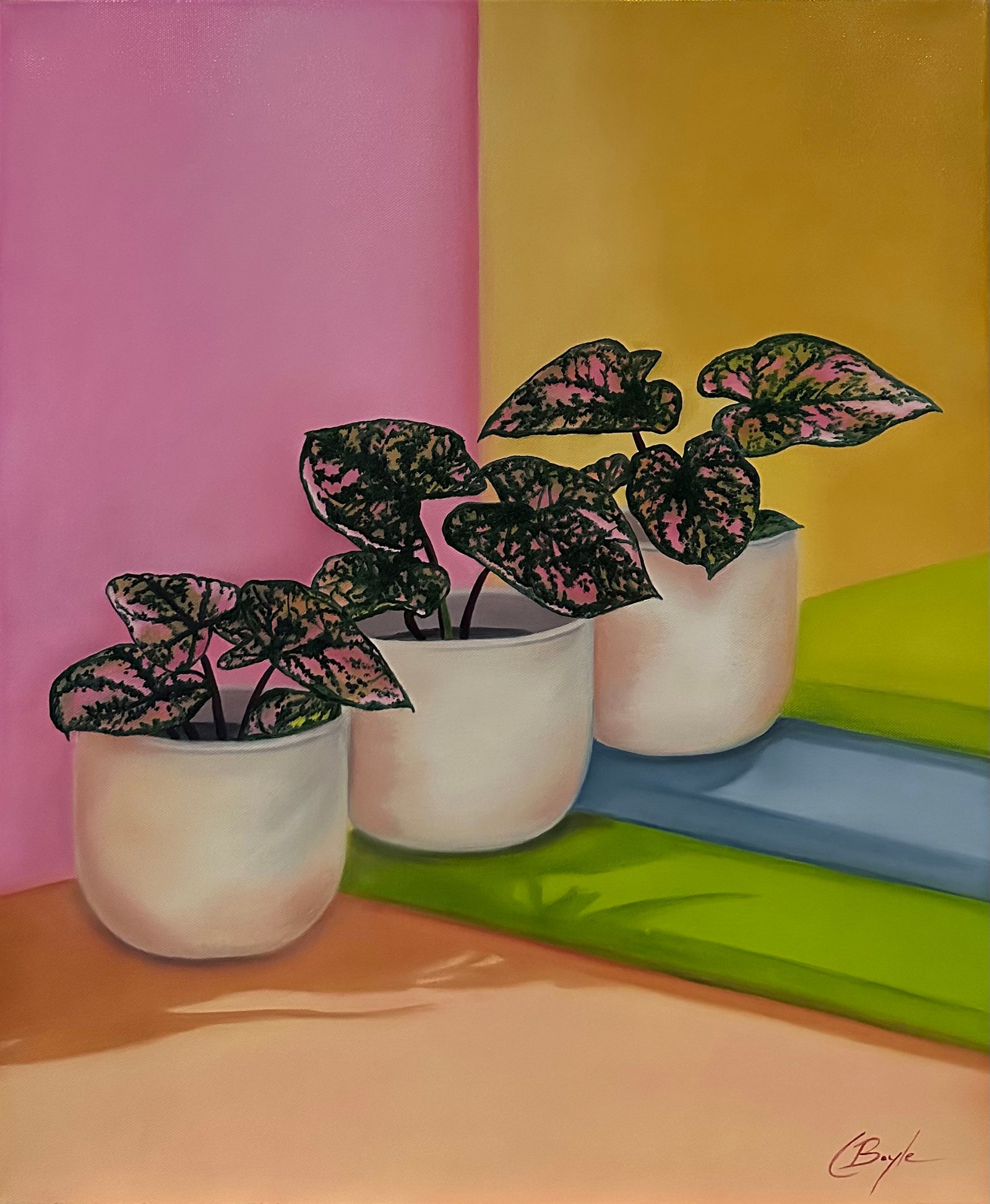 Charmaine Boyle - 'Afternoon Arrangement'