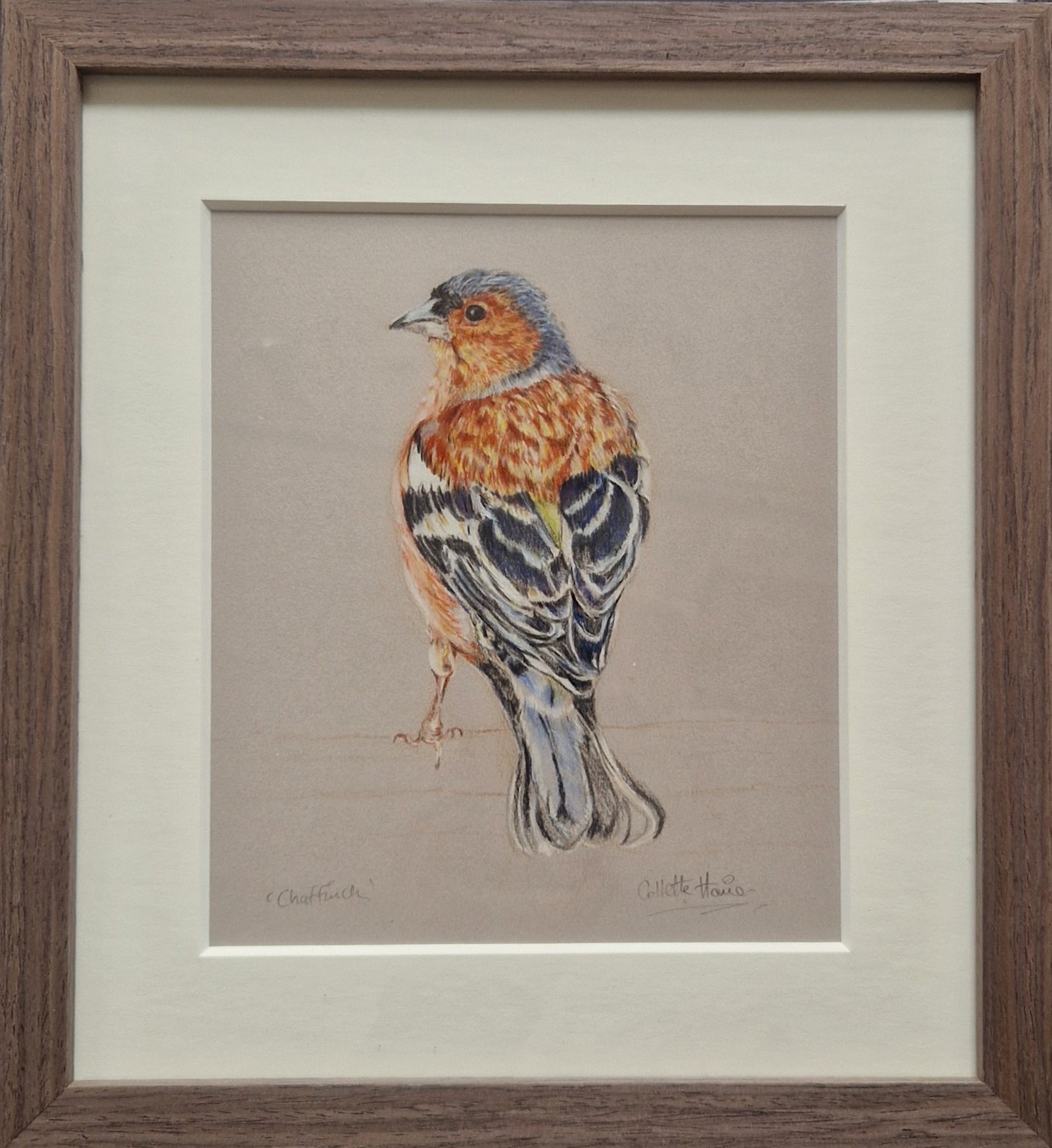 Collette Howie - Chaffinch
