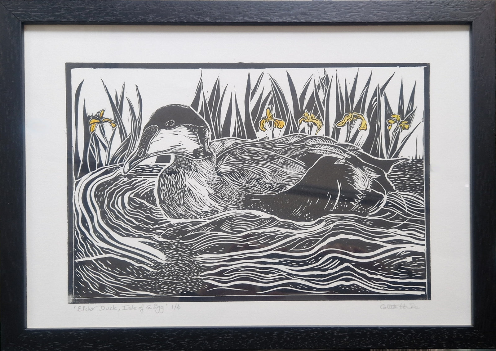 Collette Howie - Elder Duck