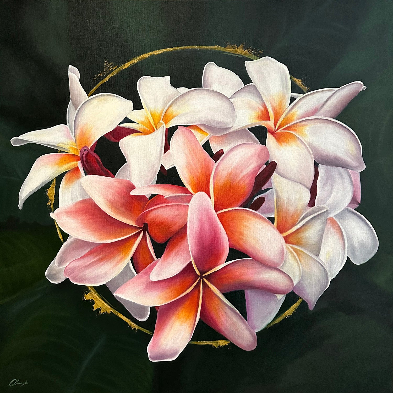 Charmaine Boyle - Frangipani's