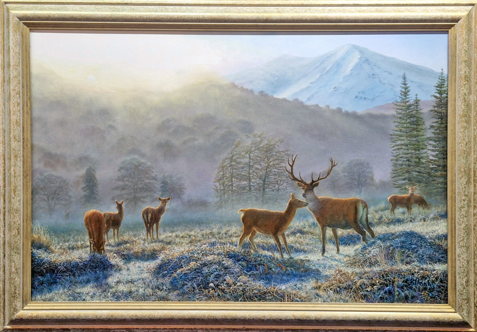 Gerry Hillman - 'Red Deer at the Time of Rutting'