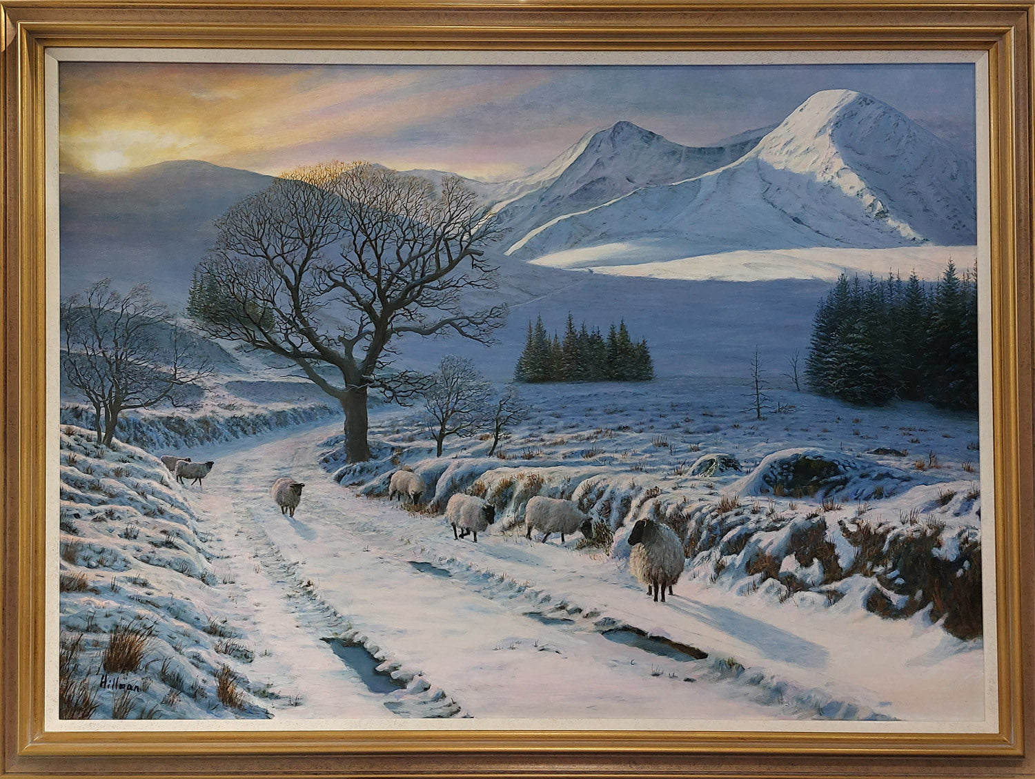 Gerry Hillman - Ben Nevis Range