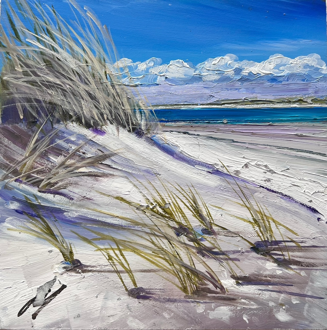 Allison Young - Onto The Beach, Crossapol, Tiree