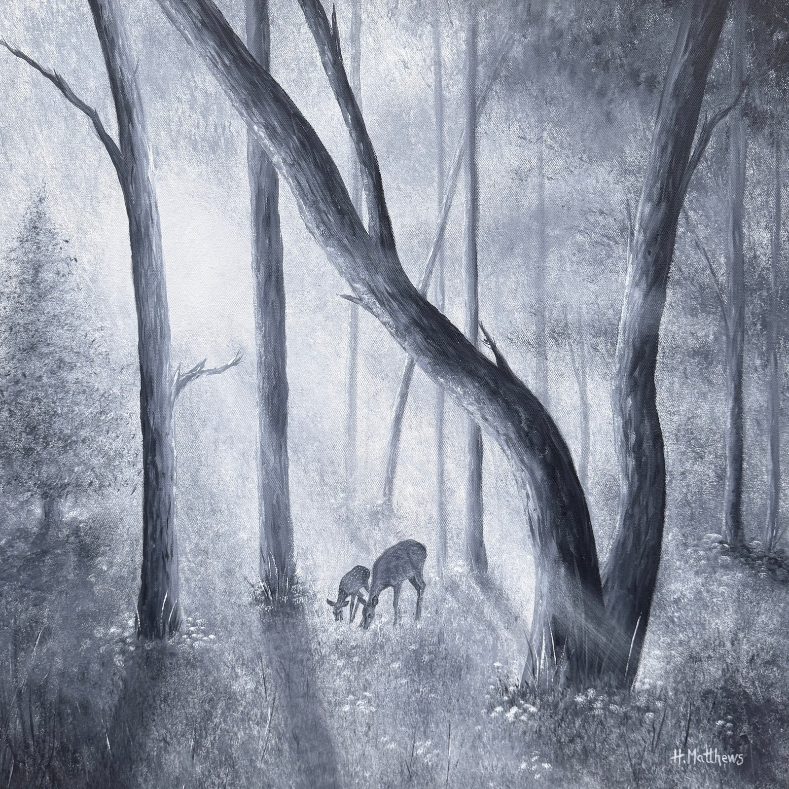 Hayley Matthews - 'Whispers of Dawn'