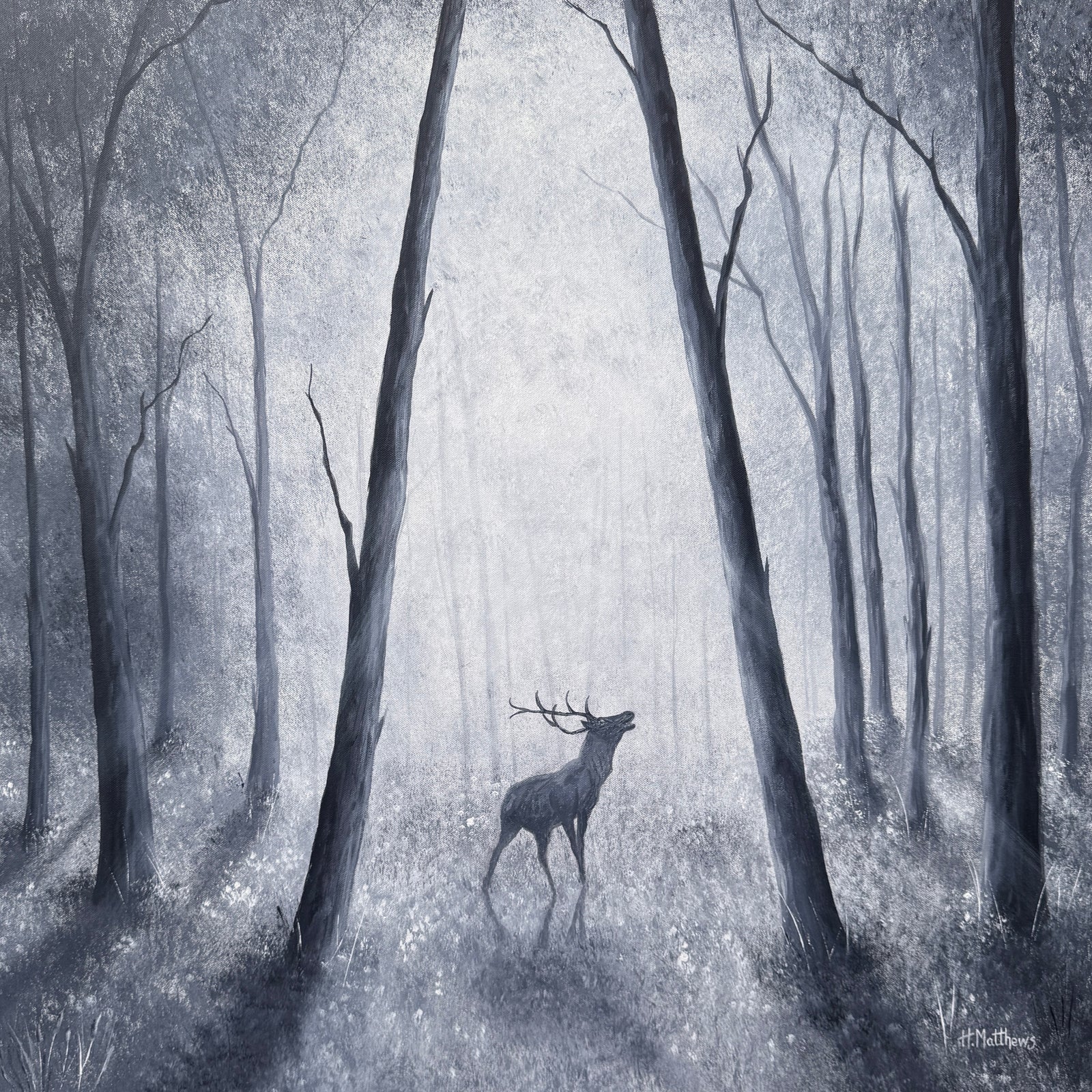 Hayley Matthews - 'Wild'