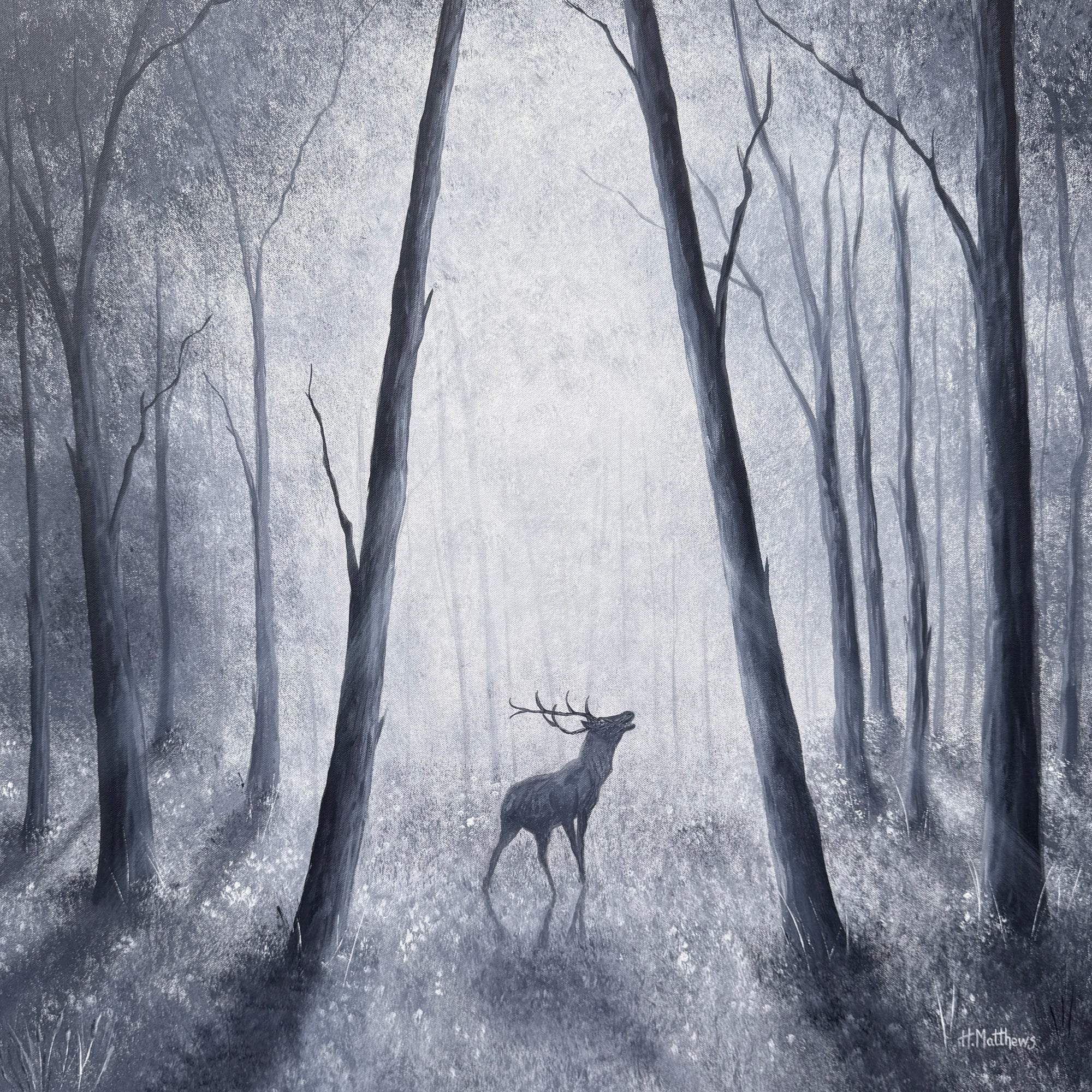 Hayley Matthews - 'Wild'