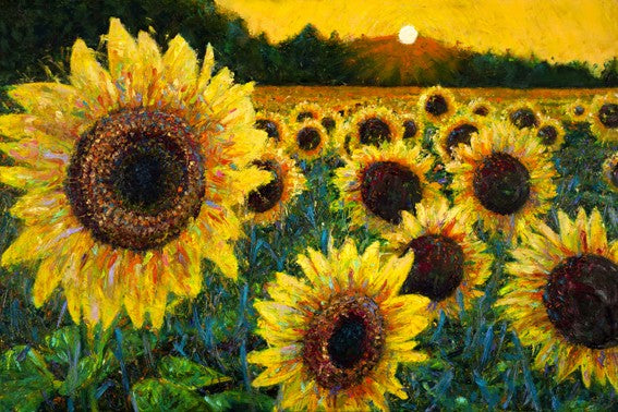 Lorraine McMillan - 'Follow the Sun'