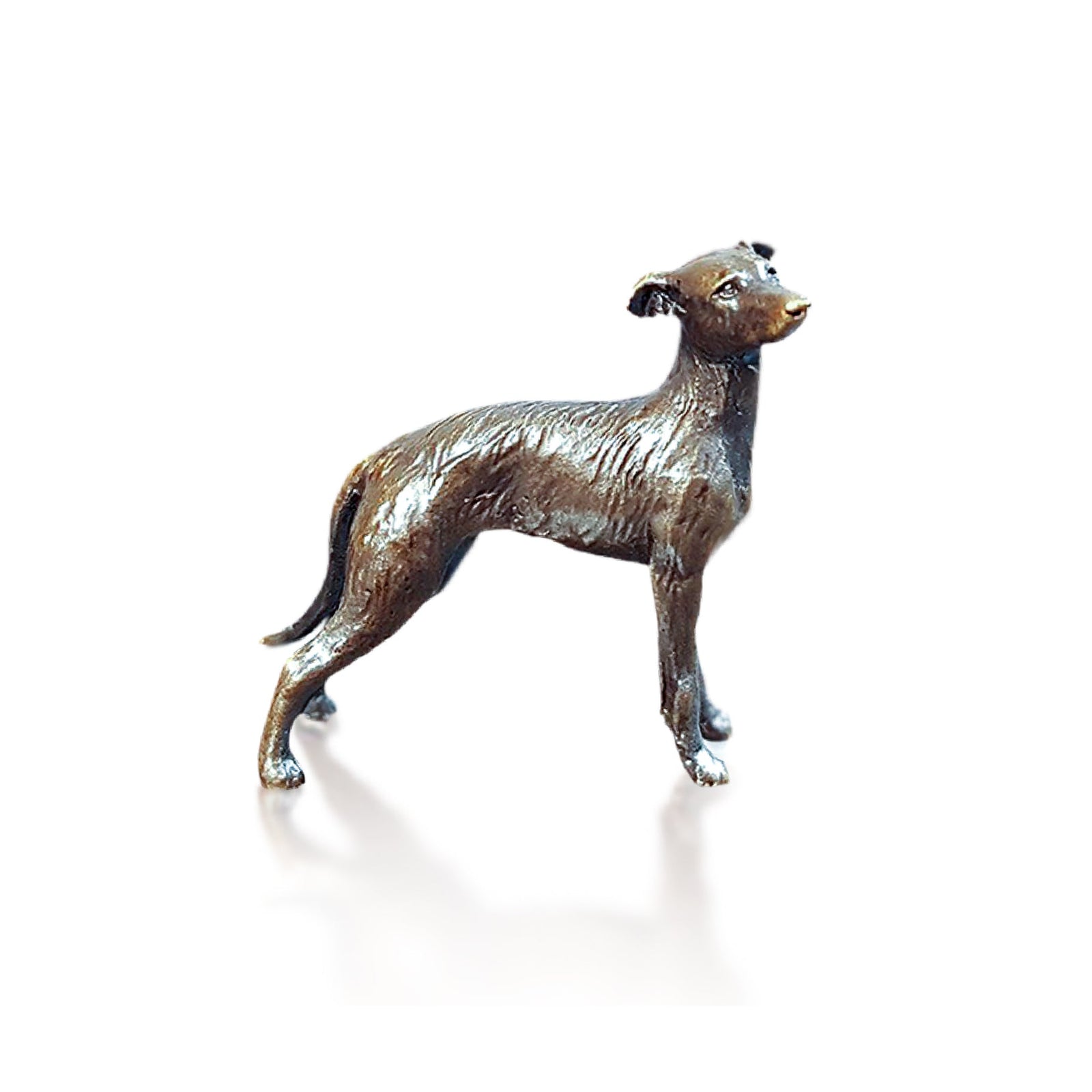 Bronze - Lurcher