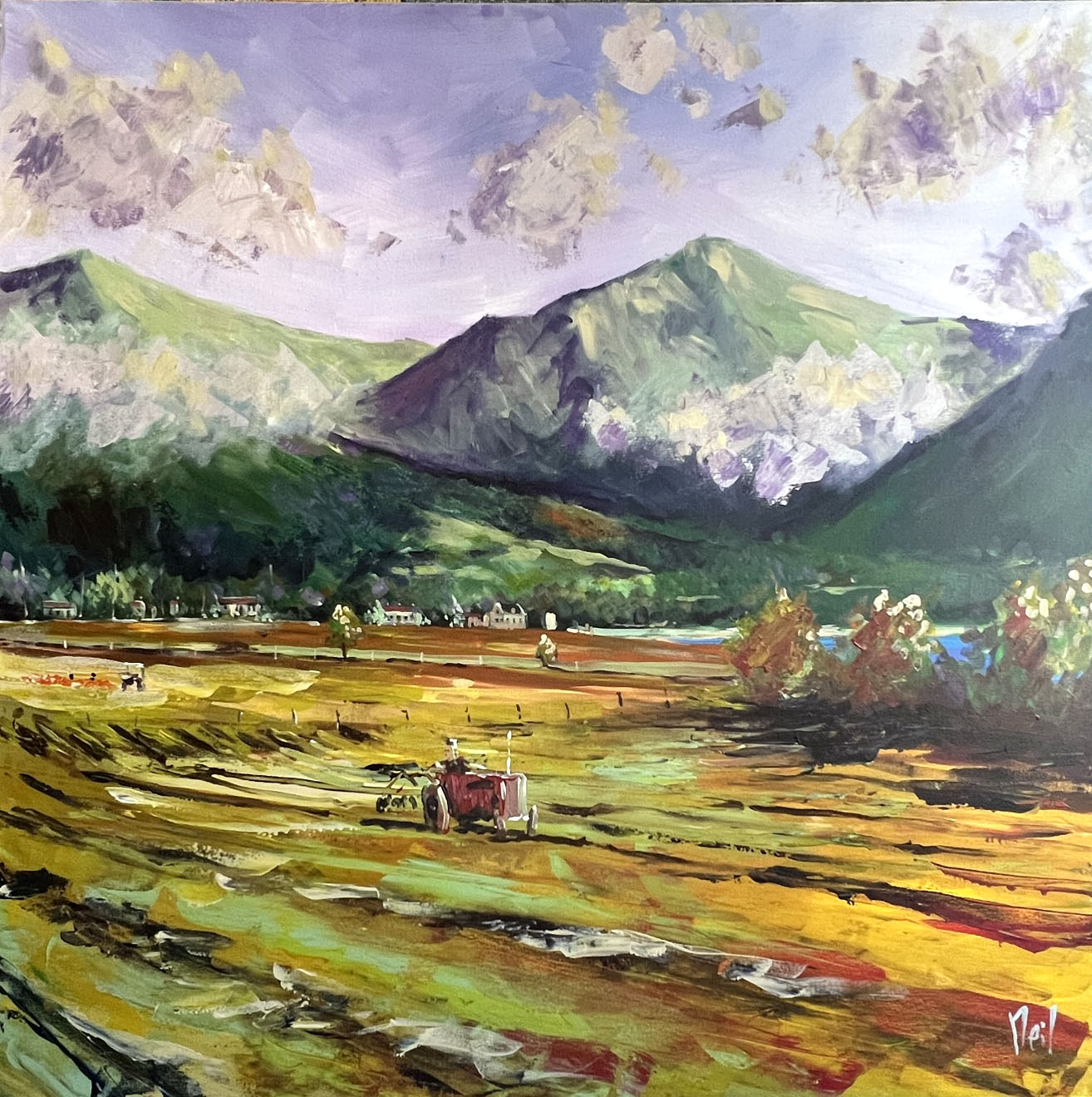 Neil G Smith - Autumn Fields