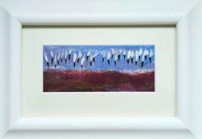 Gillian Sim - ‘Cottongrass’