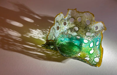 Gaynor Ranshaw - ‘This Fragile World - Turning Tide’