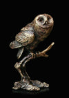 Bronze - Tawny Owl