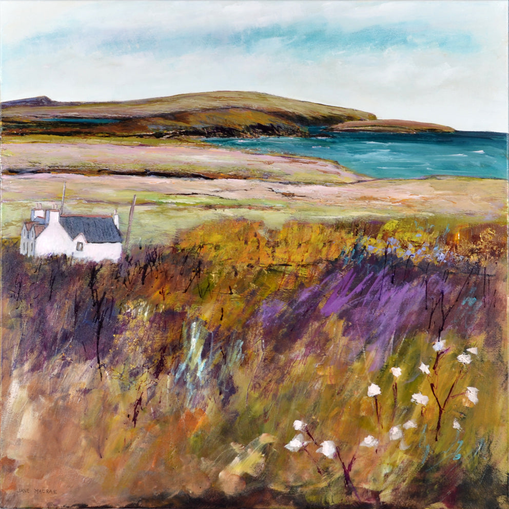Jane MacRae - View from the Cnoc, Bettyhill