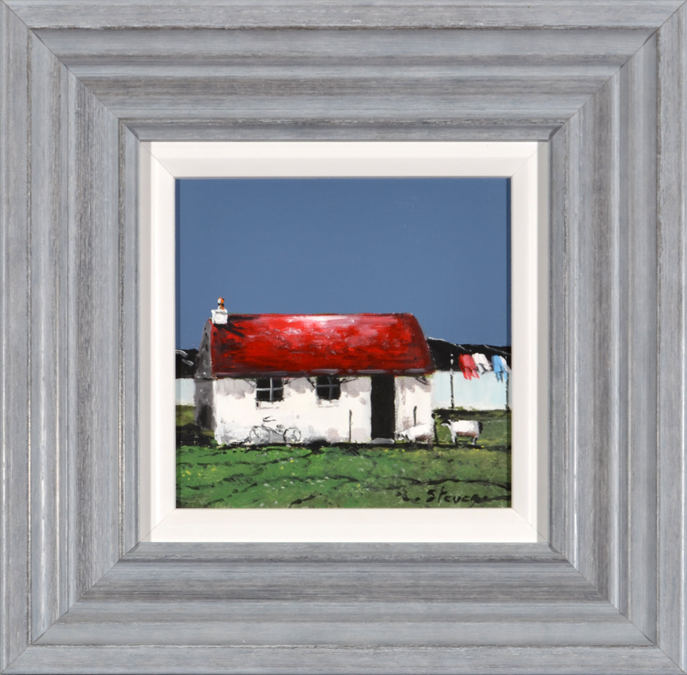 Steven - Washing Day