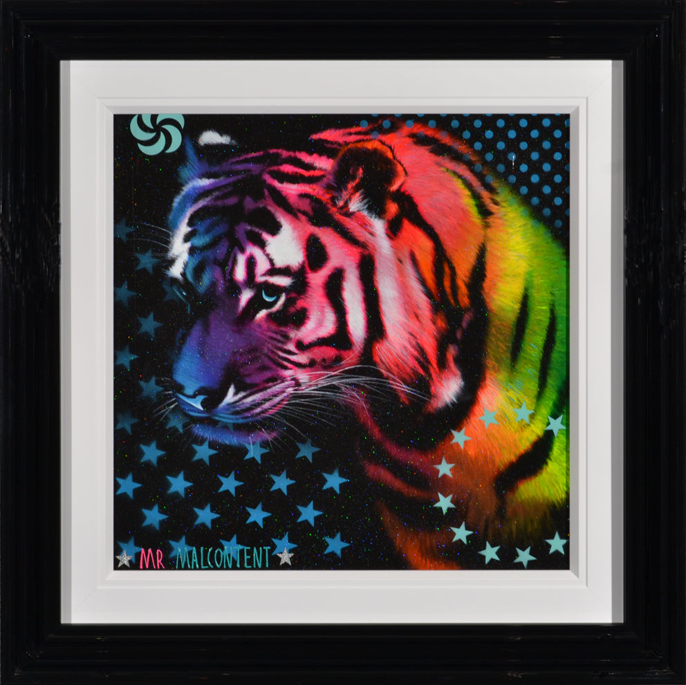 Mr Malcontent - I See You