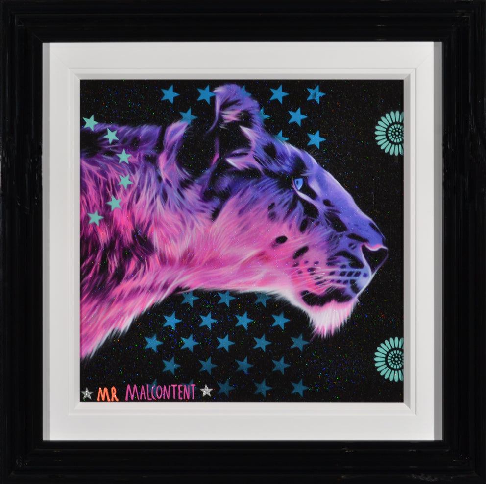 Mr Malcontent - On Watch