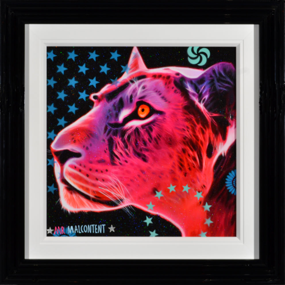 Mr Malcontent - Serenity