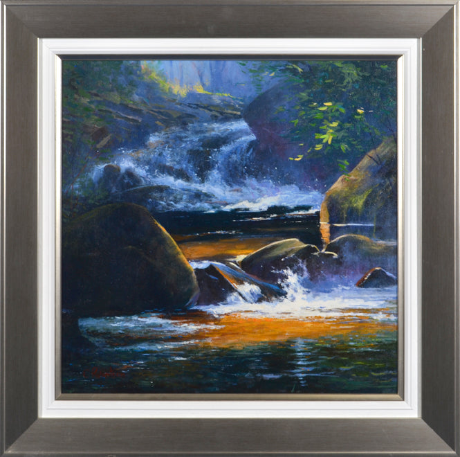 Colin Robertson  -  Stepping Stones in the Sunlight