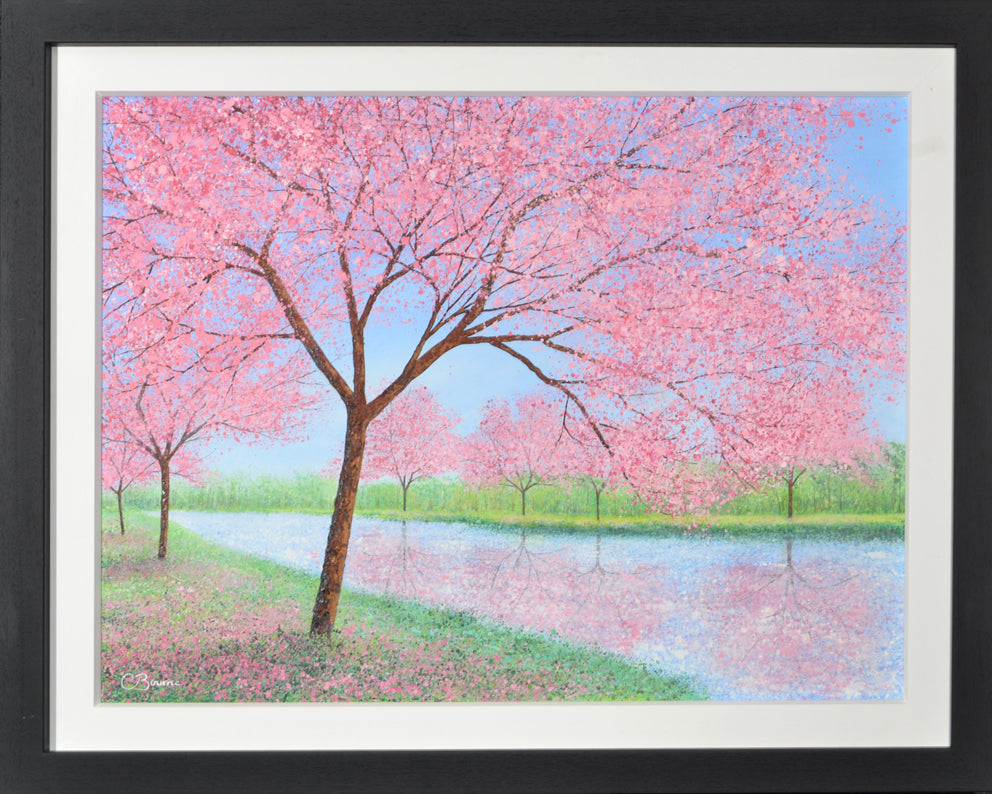 Chris Bourne - Flowering Cherries