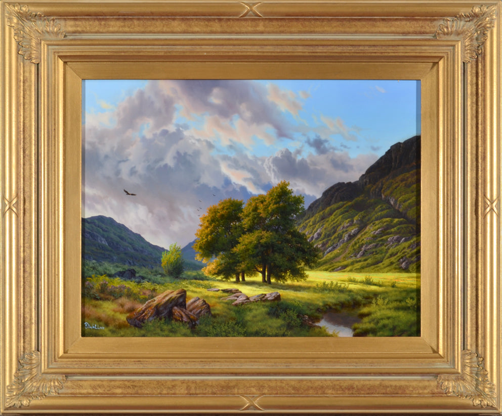Daniel Wallace - Four Trees, Glen Coe