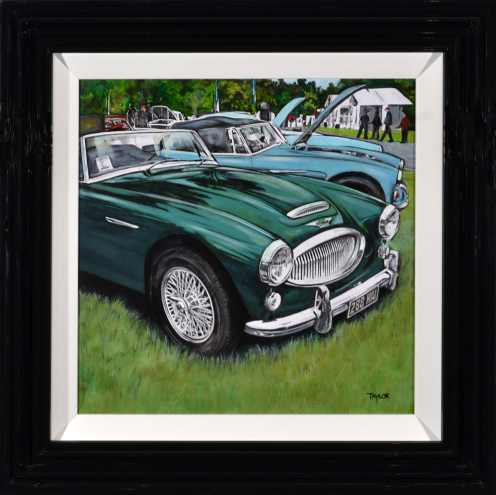 M Taylor - Austin-Healey 3000