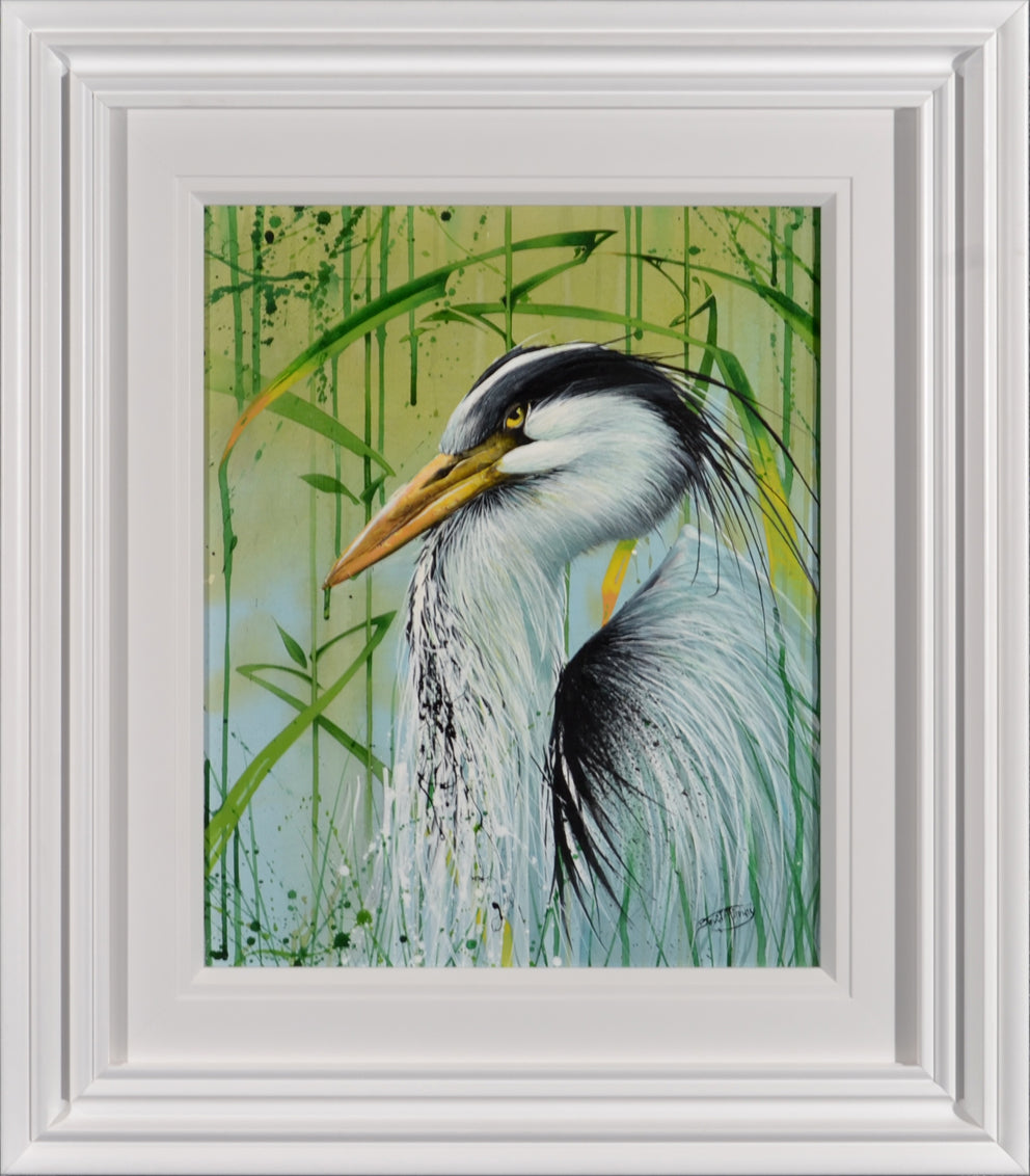 David Finney - Don't Ruffle My Feathers