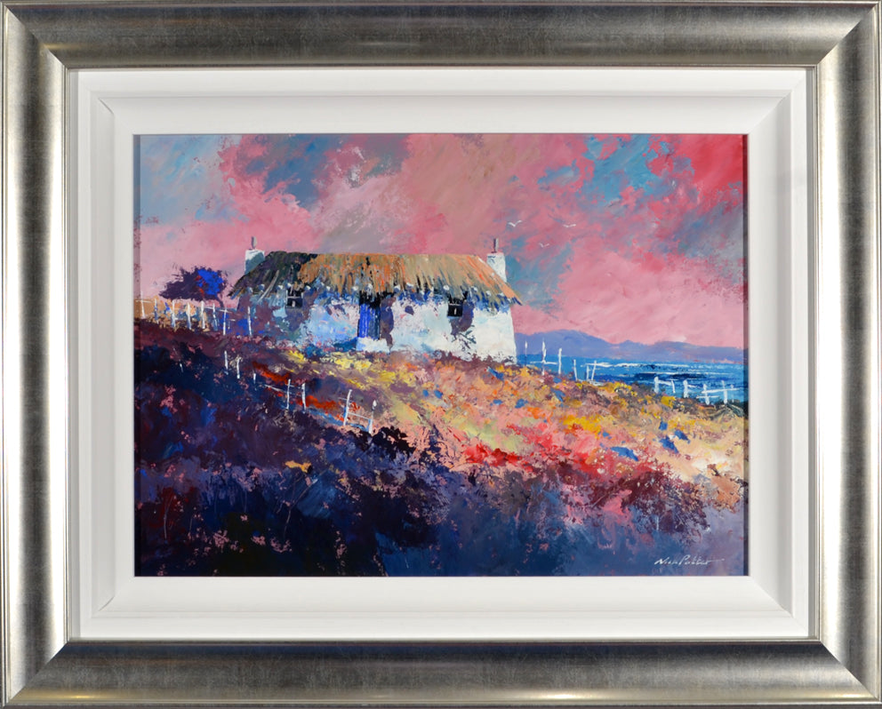 Nick Potter - Highland Pink