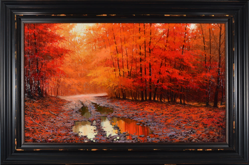 Miguel Peidro - The Strength of Colour