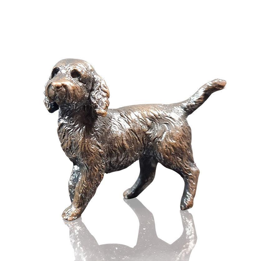 Small Cockapoo - 1152